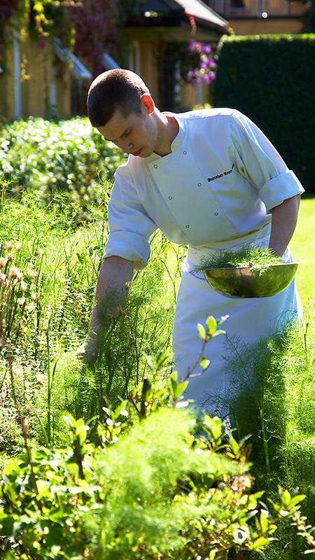 Chef Picking Herbs