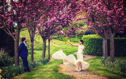 Cherry Blossom Trees at Fernhill House