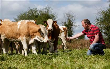 West Cork Farm Tours