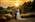 Wedding at Sunset in Cork
