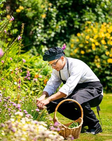 Foraging in Fernhill Country House Garde