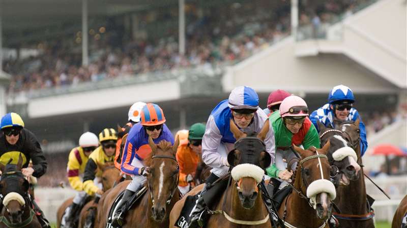 Galway Races master (1)