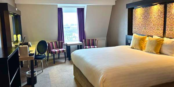 Deluxe King Room (1)