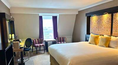 Deluxe King Room (1)