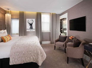Luxury Serviced Apartments in London - One Bedroom Apartment in London