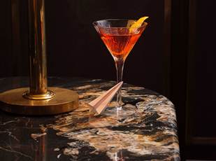 paper plane