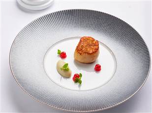 scallop
