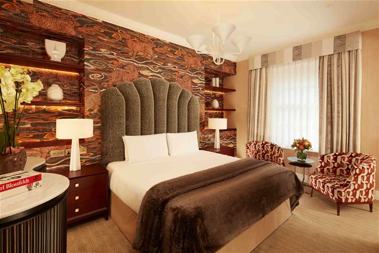 Three bedroom suite  master bedroom
