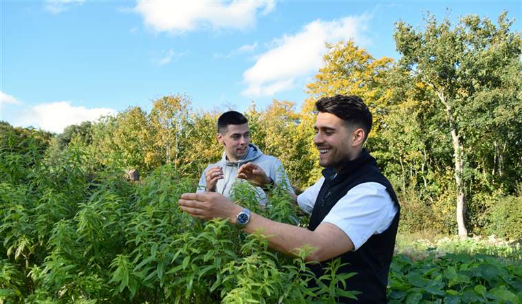 kitchen garden with chef