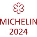michelin logo2024