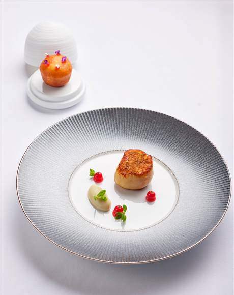 scallop