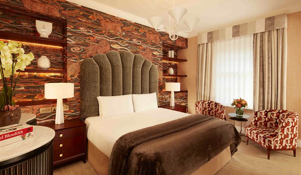 Three bedroom suite  master bedroom