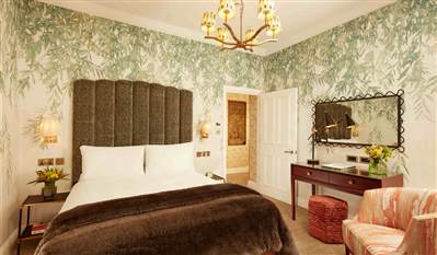 Three bedroom suite  bedroom