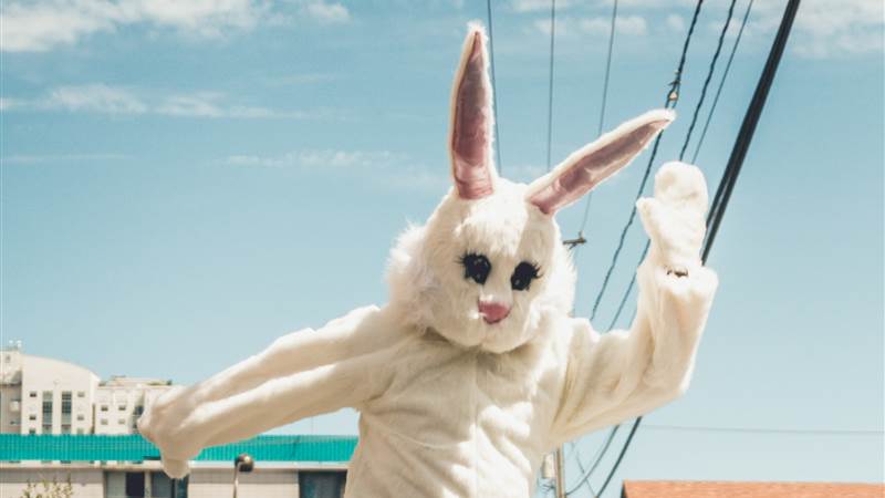 Breakout bunny