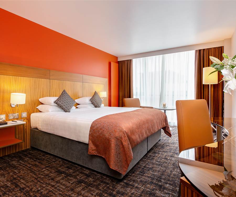Room 302 Std Double Print Image 1