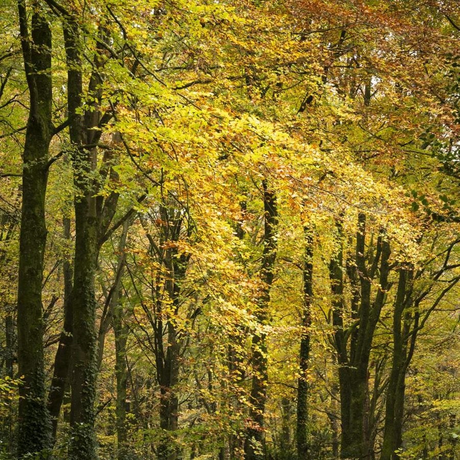 Autumn Hotel Breaks in Sligo