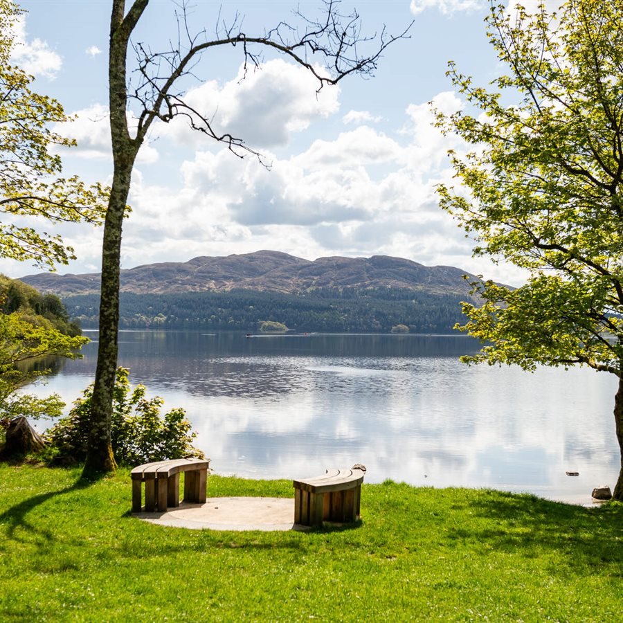 Hazelwood Forest, Co Sligo