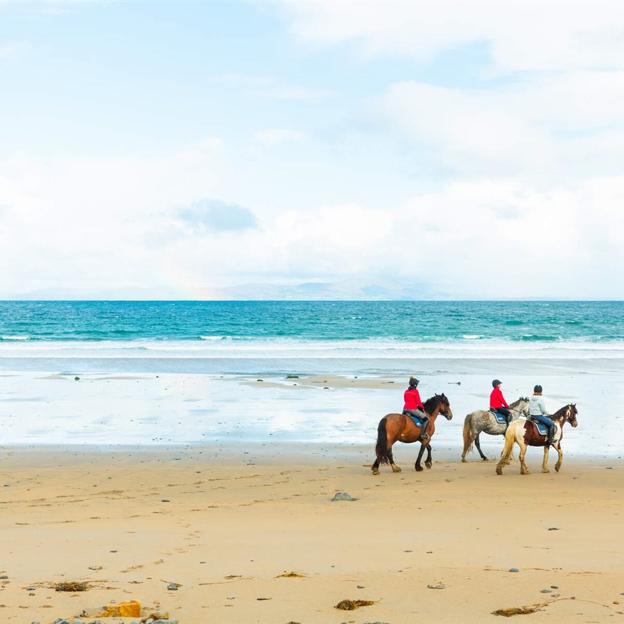 Horse Riding, Streedagh, Co Sligo Web Si