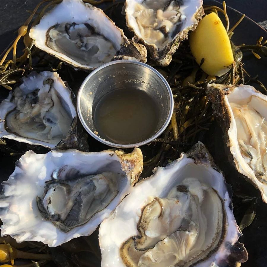 Sligo Oyster Experience 