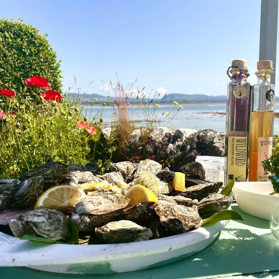 Oysters, Taste of Sligo Food Tour by Ant