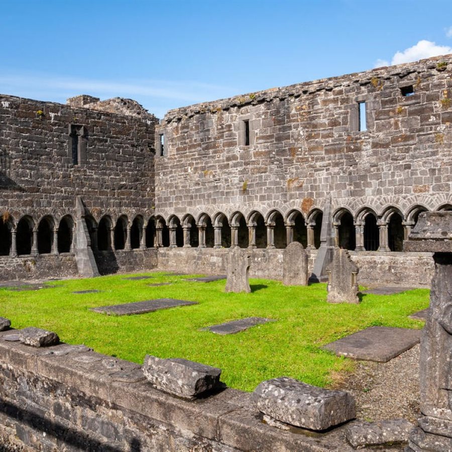 Sligo Abbey1