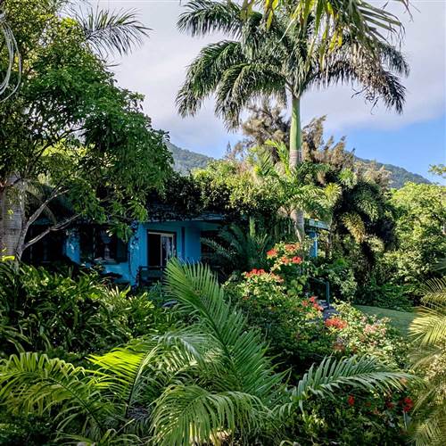 Tropical hotels in Nevis. Hillside Cottages at Golden Rock Inn