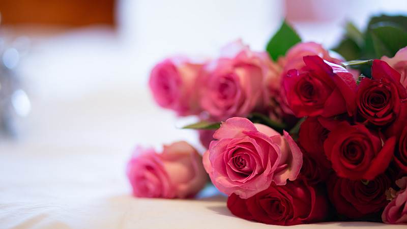 amanda vick GF1ndoCM7PY unsplash