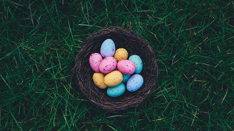 annie spratt 43o1KVbOWXA unsplash