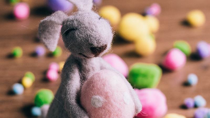 freestocks U25 Dy6JSlk unsplash