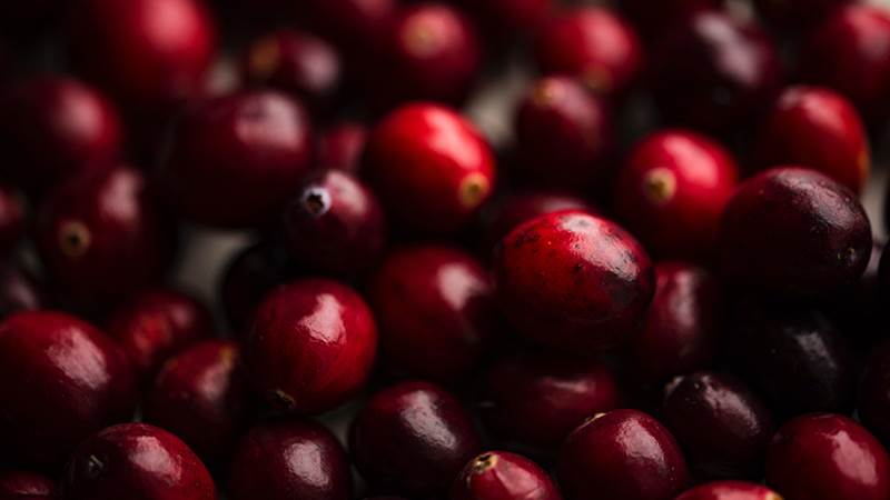 joanna kosinska PHbtjiC5u70 unsplash