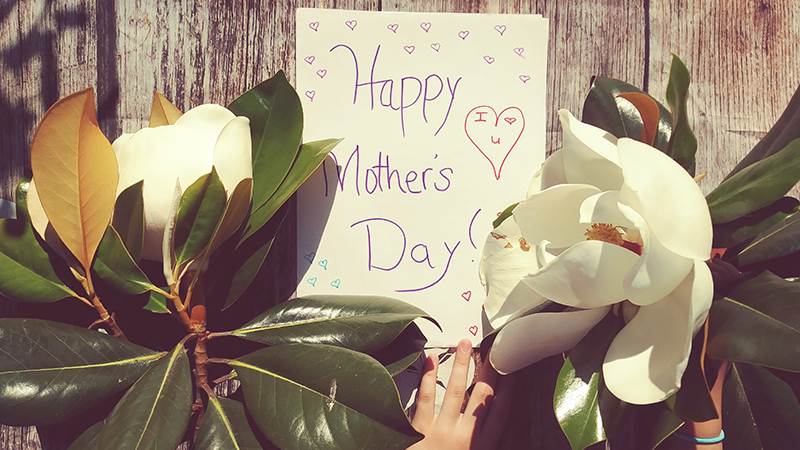 karolina bobek eoR84jjW1oo unsplash