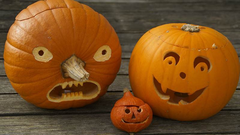 pumpkins 512113 1920