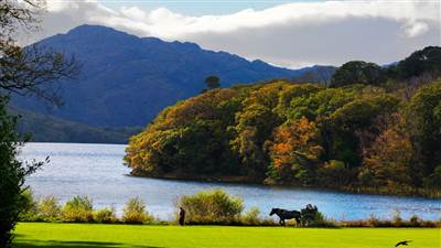 medium chris hill 1 30 11 2011 05