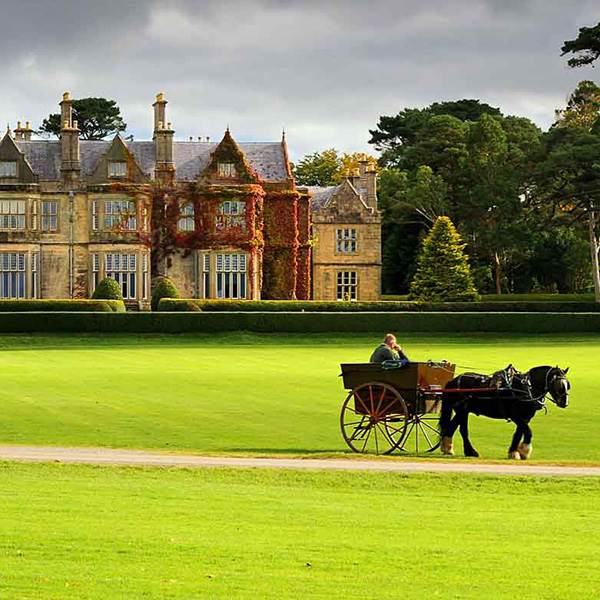 GSK Teambuilding Jaunt