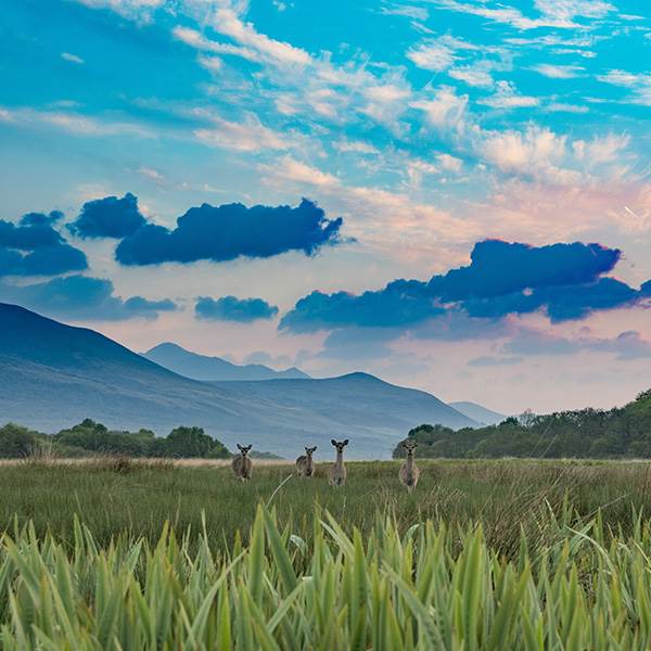 GSK Teambuilding National Park