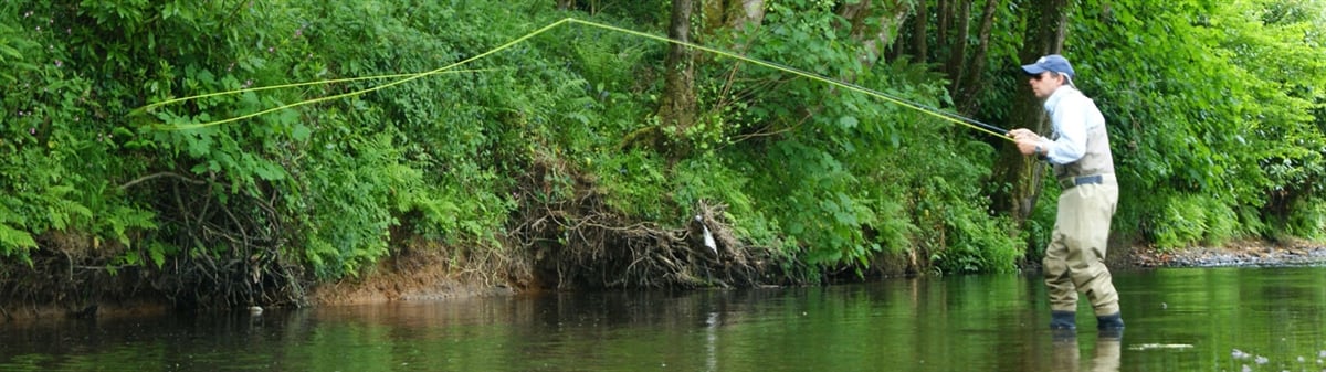 River Mole Fishing | Highbullen