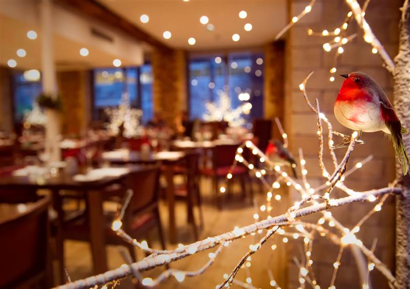 Christmas 2025 Liverpool - Festive Decor With Robin & Fairy Lights