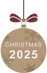 christmas bauble 2025