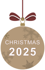 christmas bauble 2025