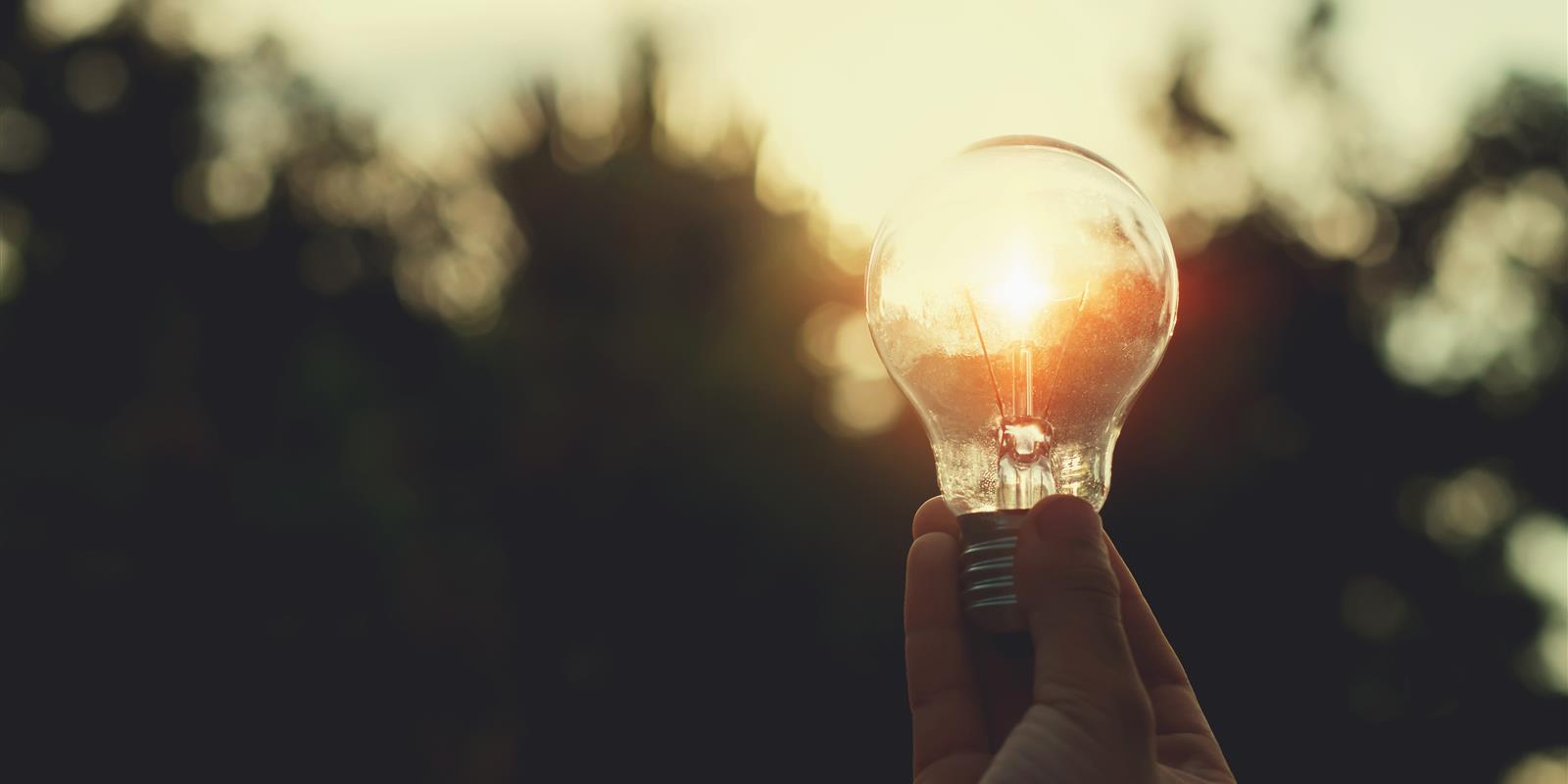 light bulb dusk
