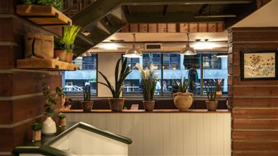 A selection of plants in the interior of Blooms Coffee and Pizza