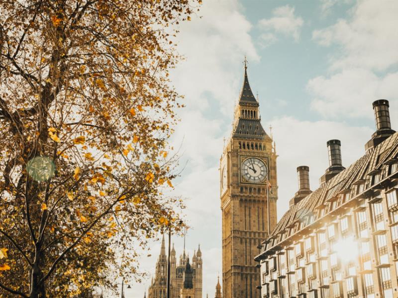 See More, Stay Longer