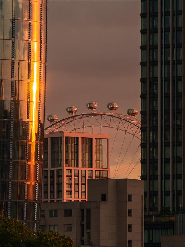 london eye in sunset