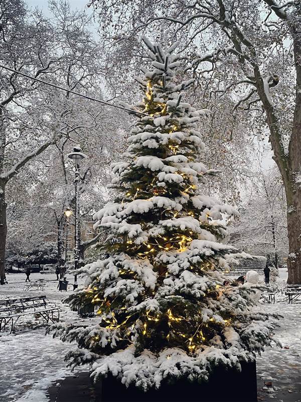 London Winter with Imperial London Hotels