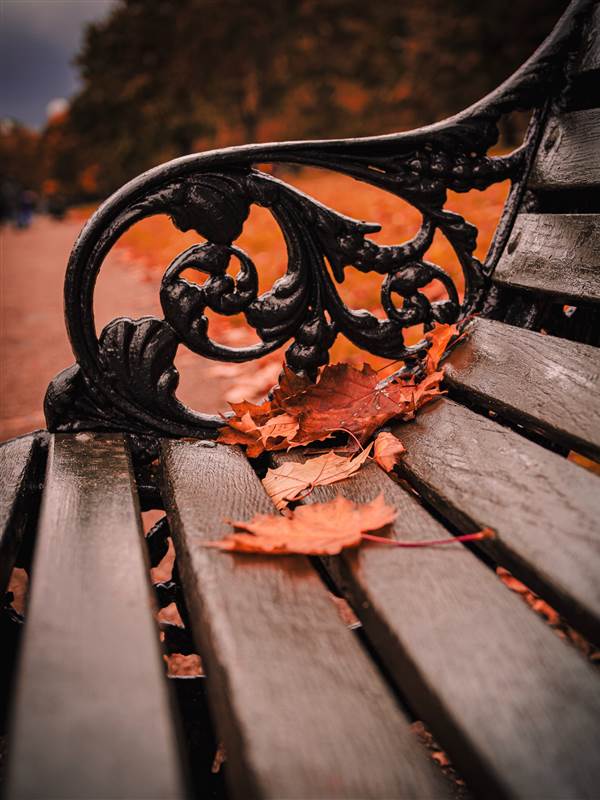 a bench in London autumn