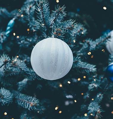 Un Christmas 2022 Christmas At Kew | Imperial London Hotels