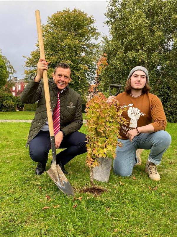 Hayfield Manor Partner with Reforest Nat