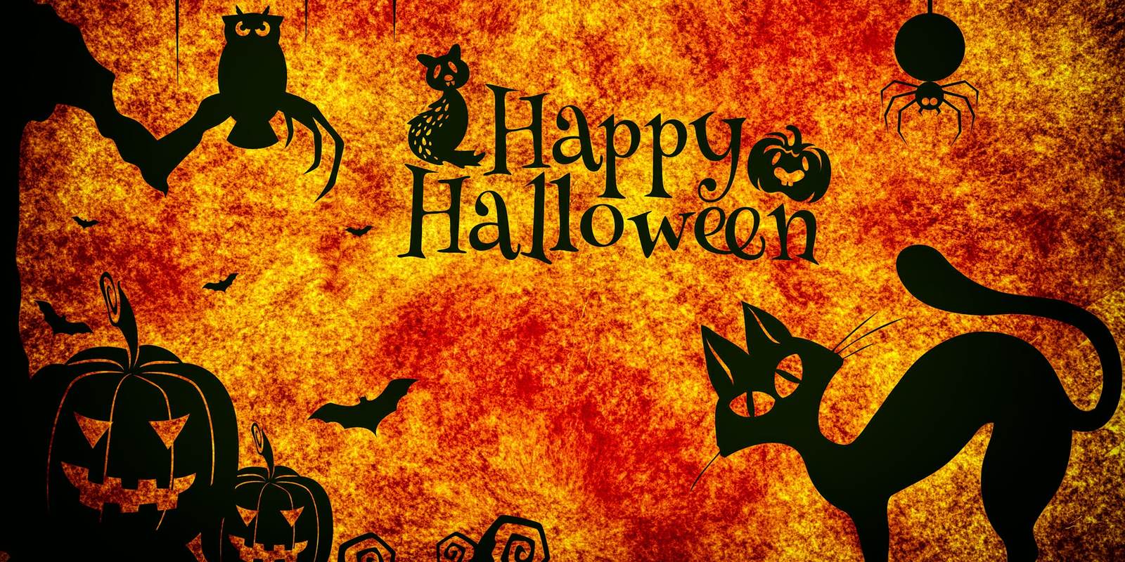 Halloween Breaks Northern Ireland - Halloween Banner