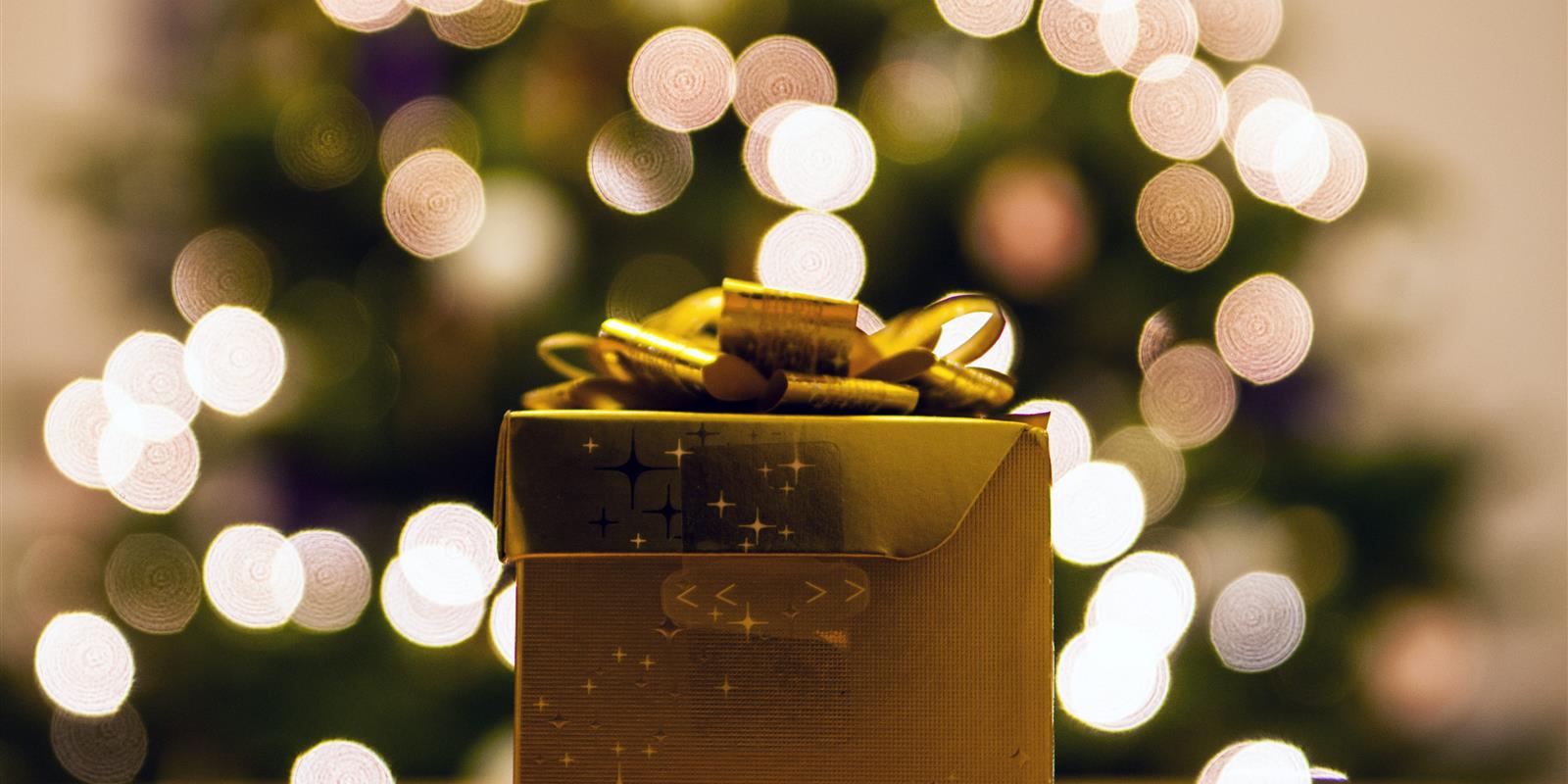 pexels photo 76931 min (1)