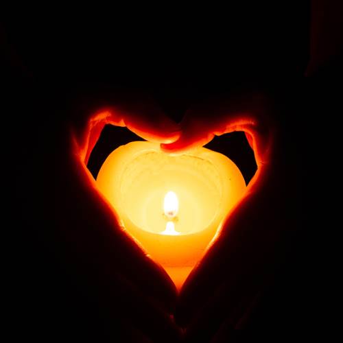 closeup shot human hands holding small c